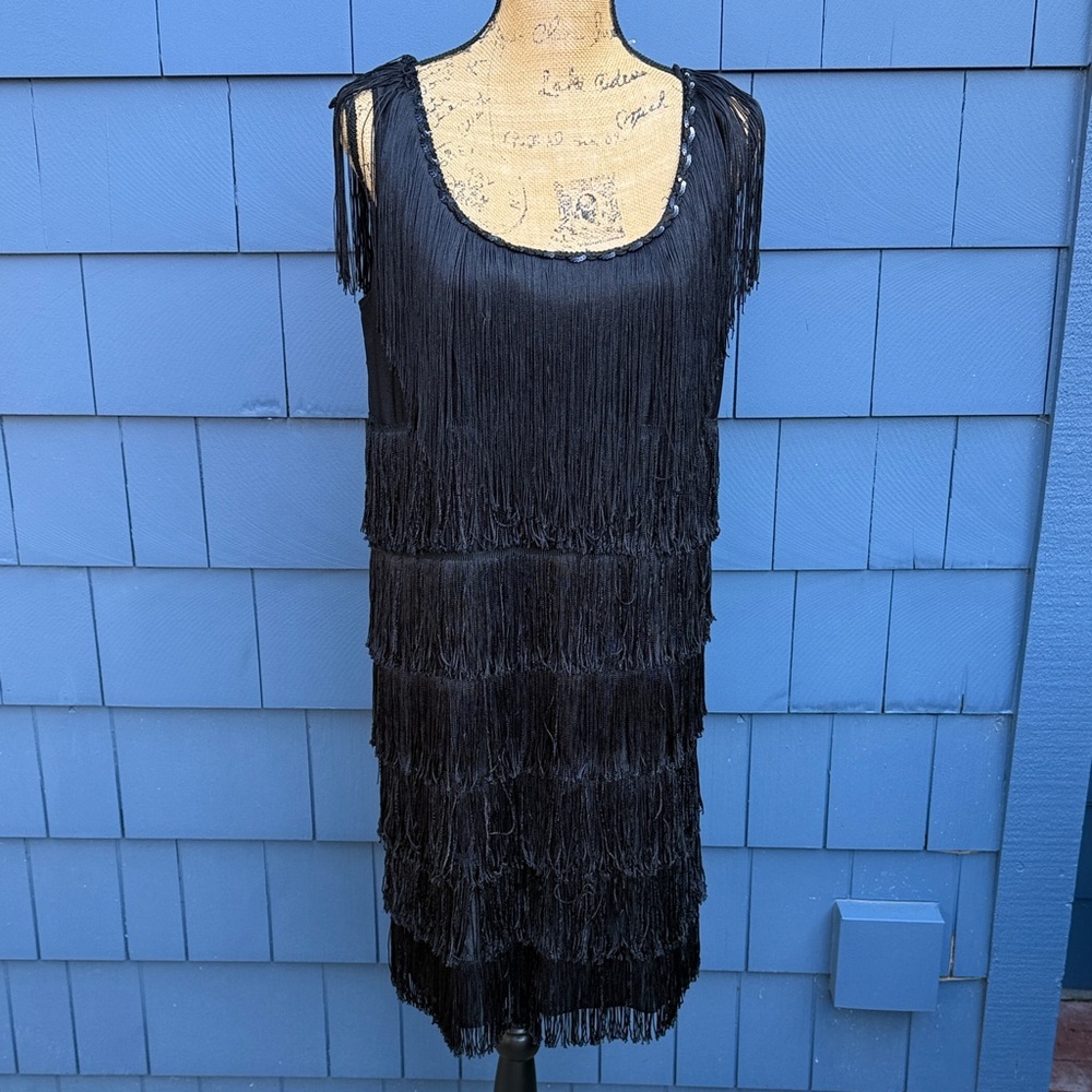 Black Fringe Sleeveless Dress flapper 20’s cocktail 🍸 hour California Costumes